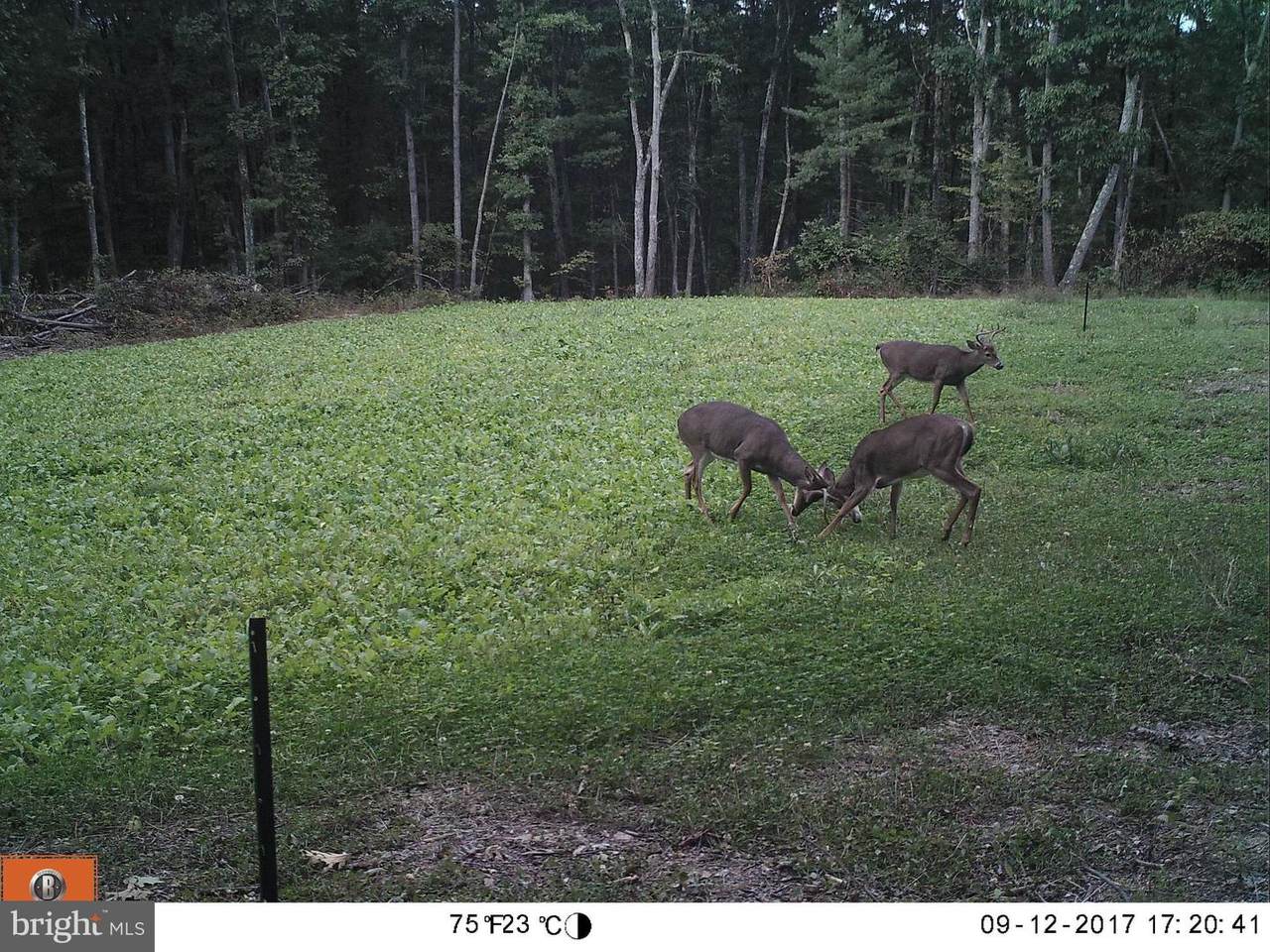 Black Hollow Springs - Photo 1