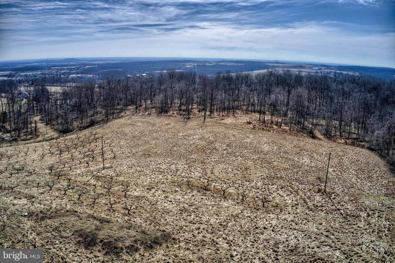 385 Carr Hill Road - Photo 1