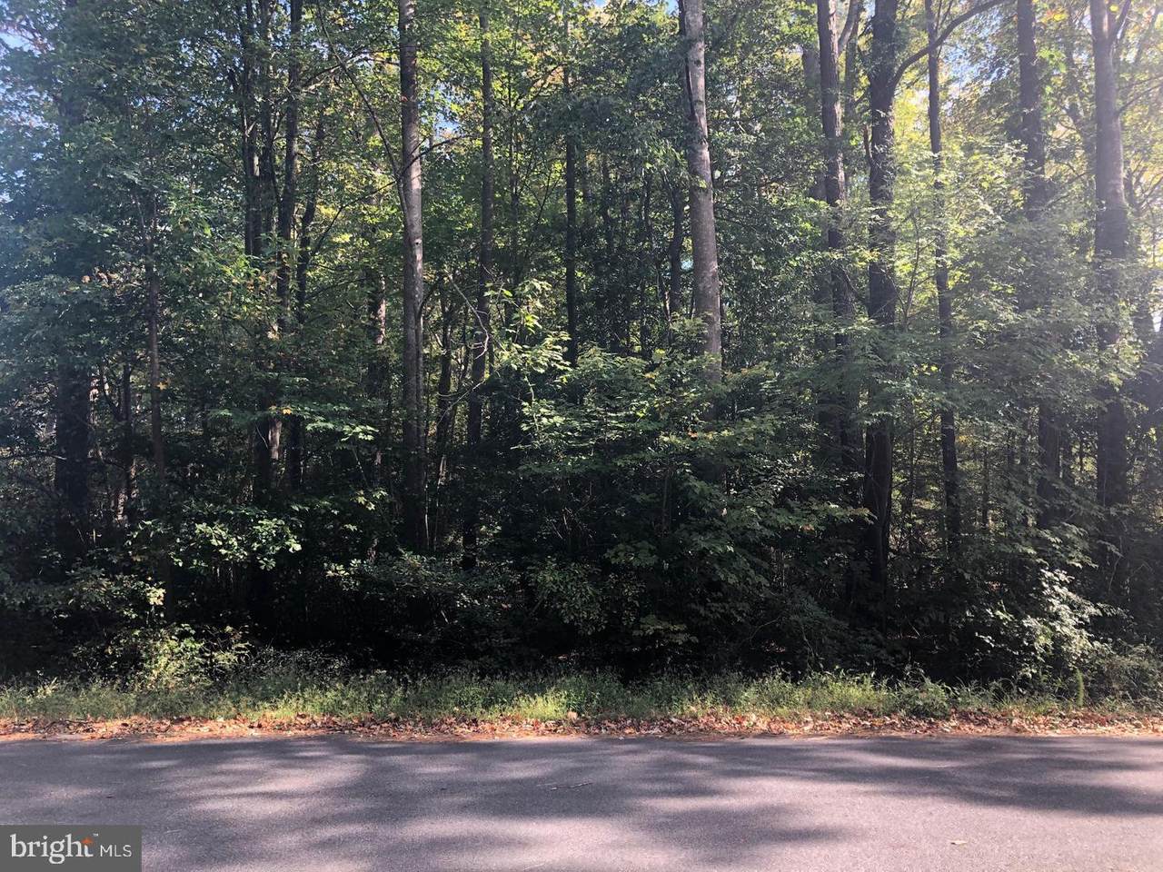 Lot 3 Carolina Drive - Photo 1