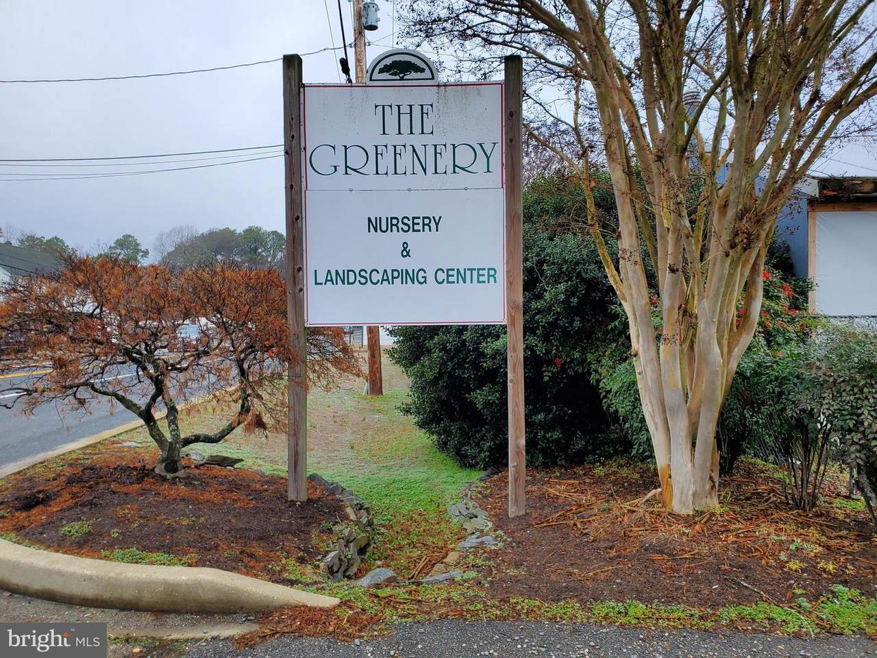44222 Greenery Lane - Photo 1