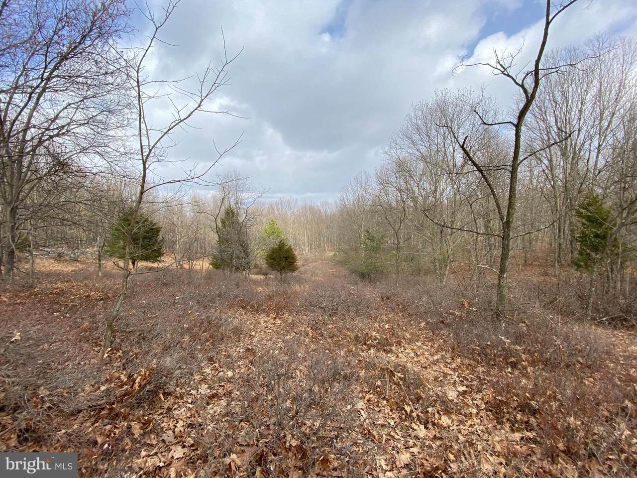 5500 Hutter Road - Photo 1 5500 Hutter Road - Photo 1