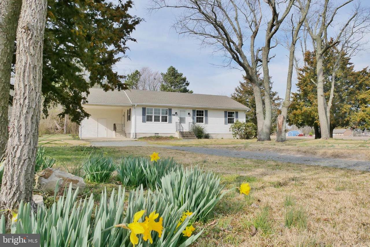 30695 Vines Creek Road - Photo 1