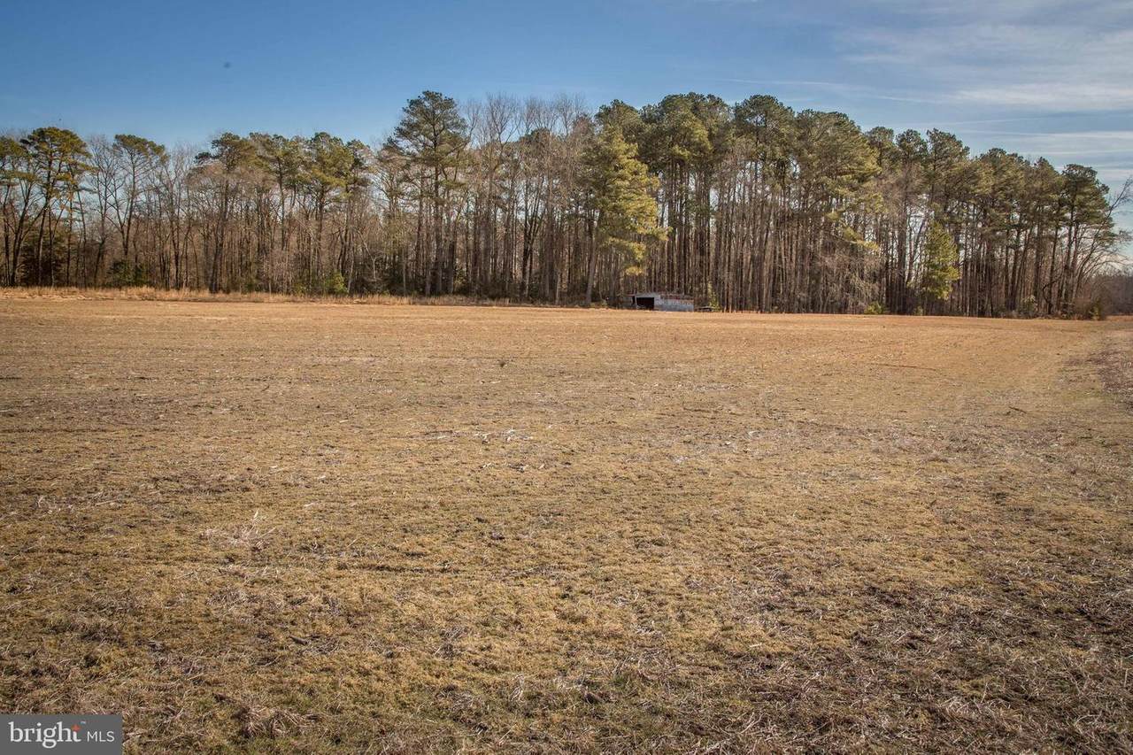 Lot 2 Quail Lane - Photo 1