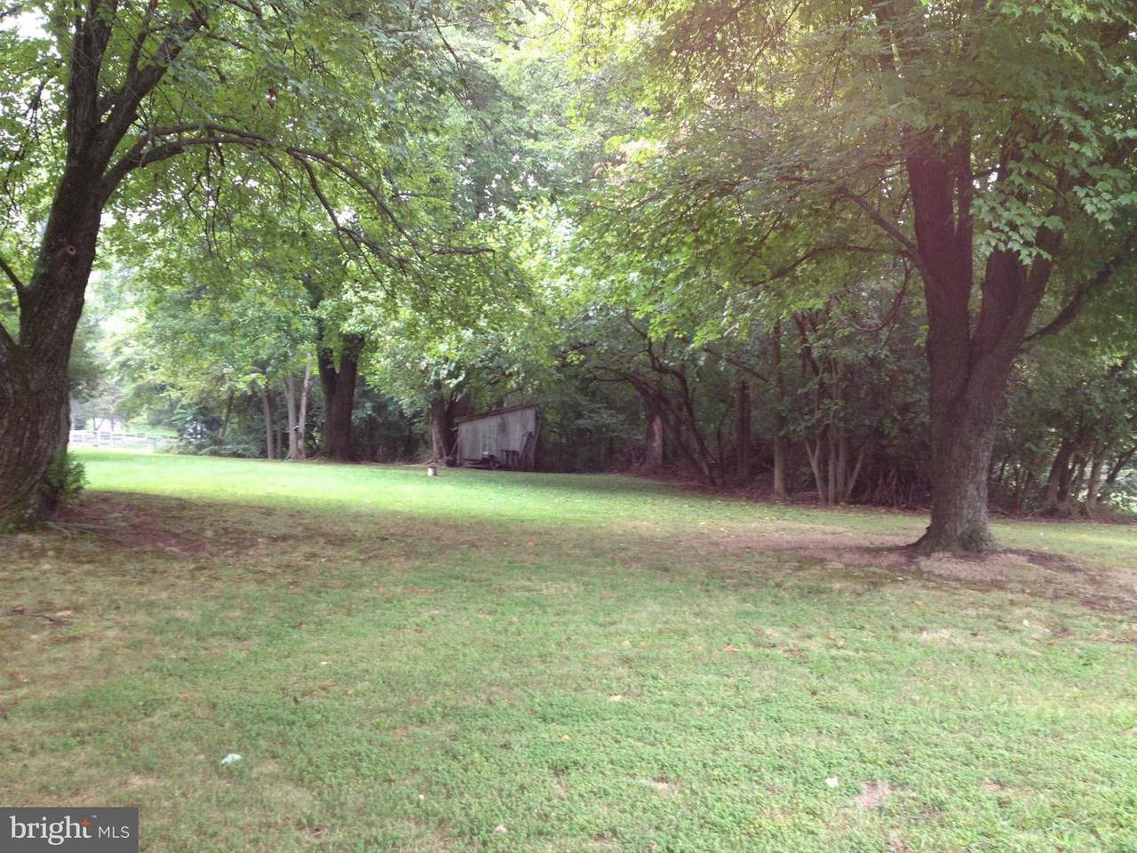 Big Woods Road - Photo 1