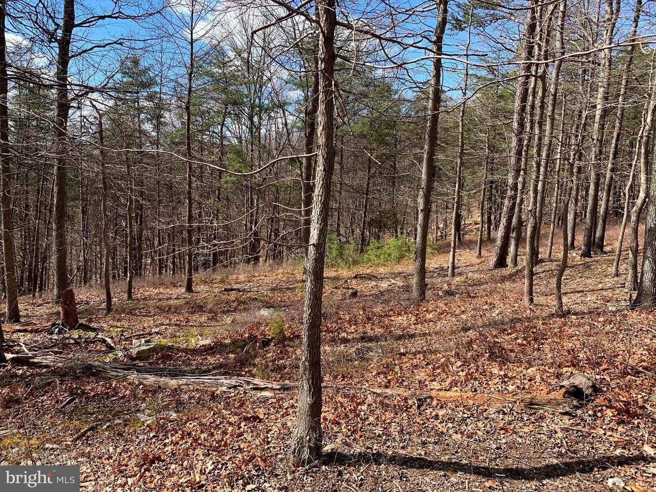 231 Doman Ridge Road - Photo 1