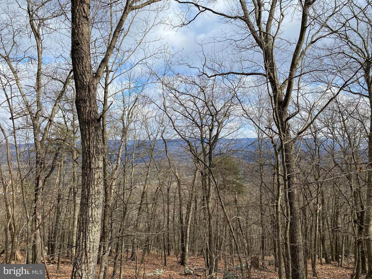 5100 Hutter Road - Photo 1