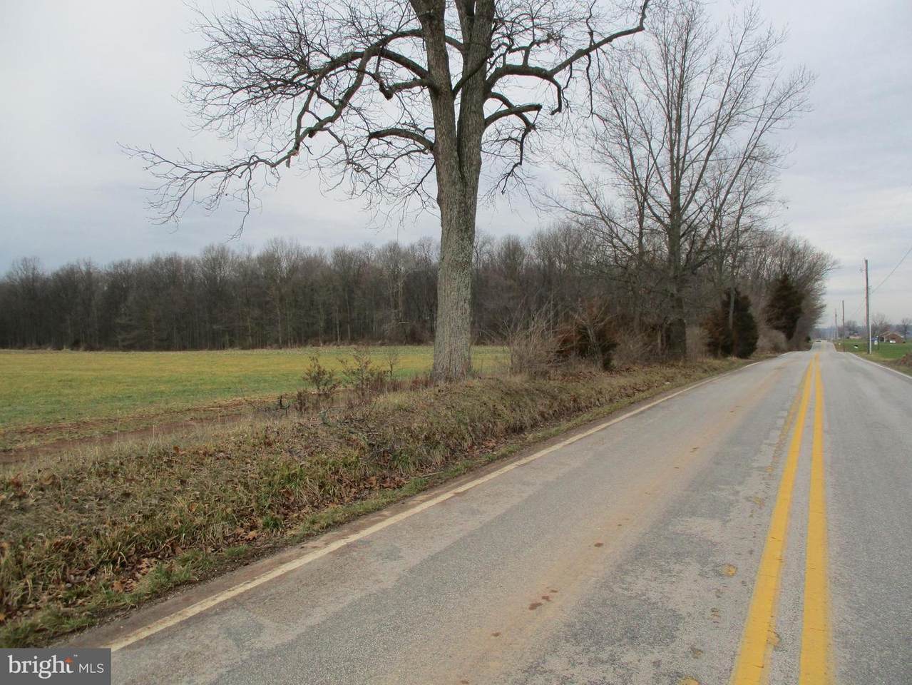 00 Biesecker Road - Photo 1