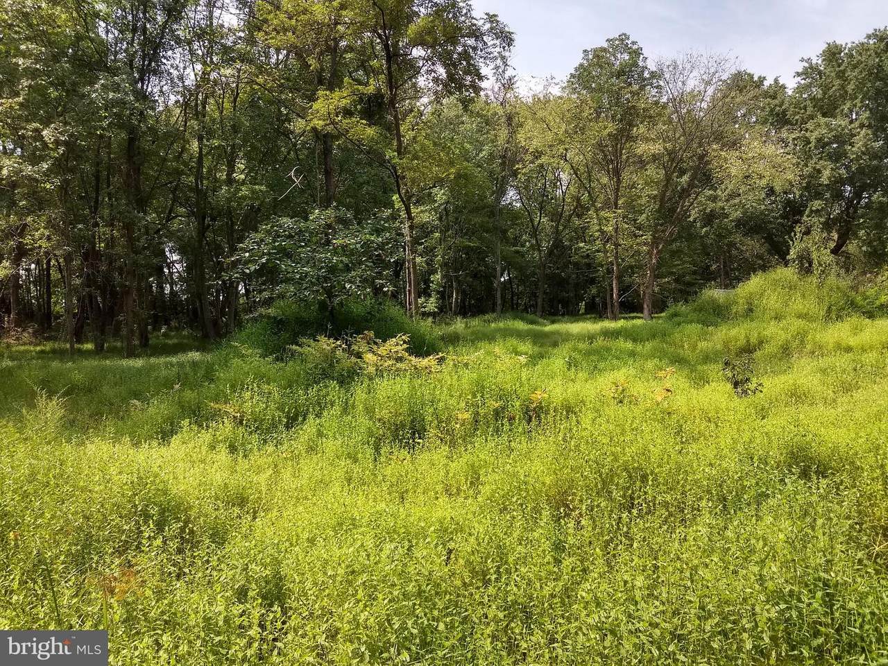 22311 Bernard Ln. - Photo 1