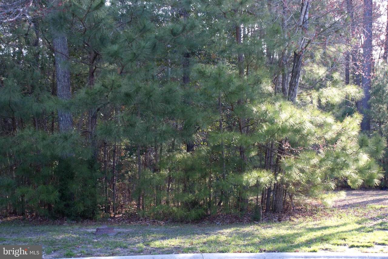 Lot 180 Canons Roar Lane - Photo 1