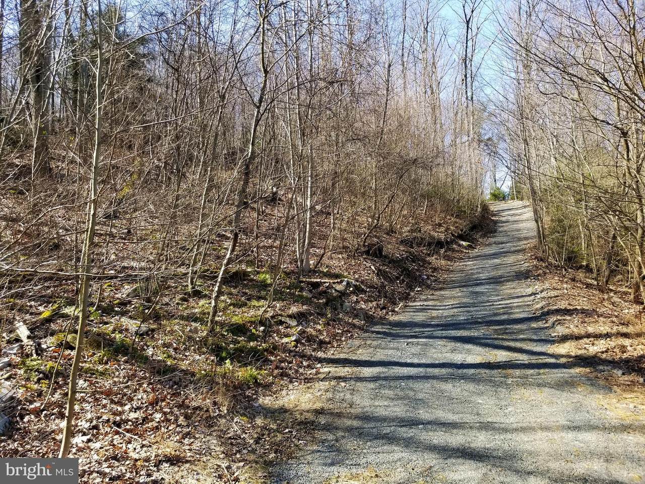 0 Bear Creek Road - Photo 1