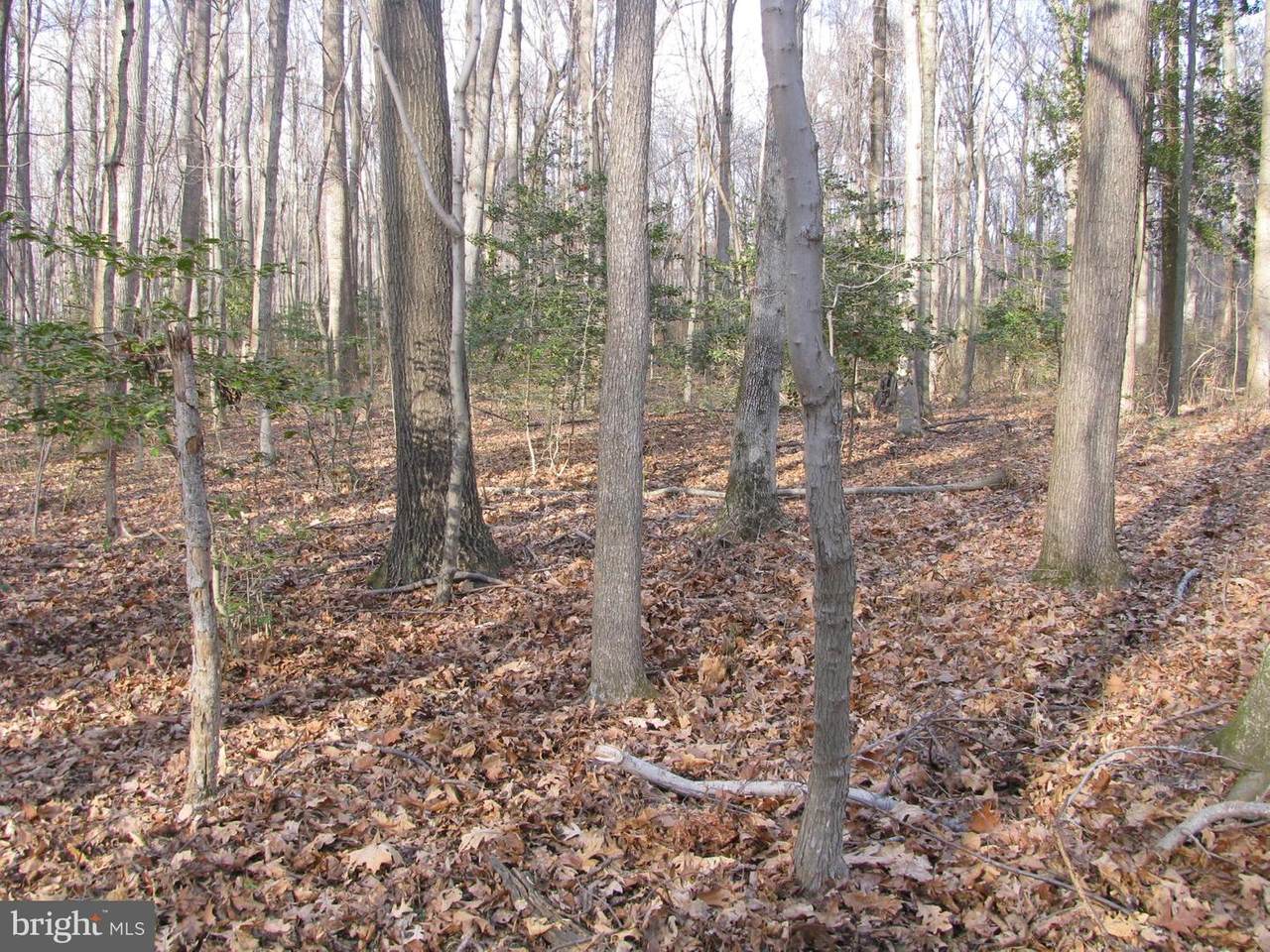 000 Yorktown Road - Photo 1