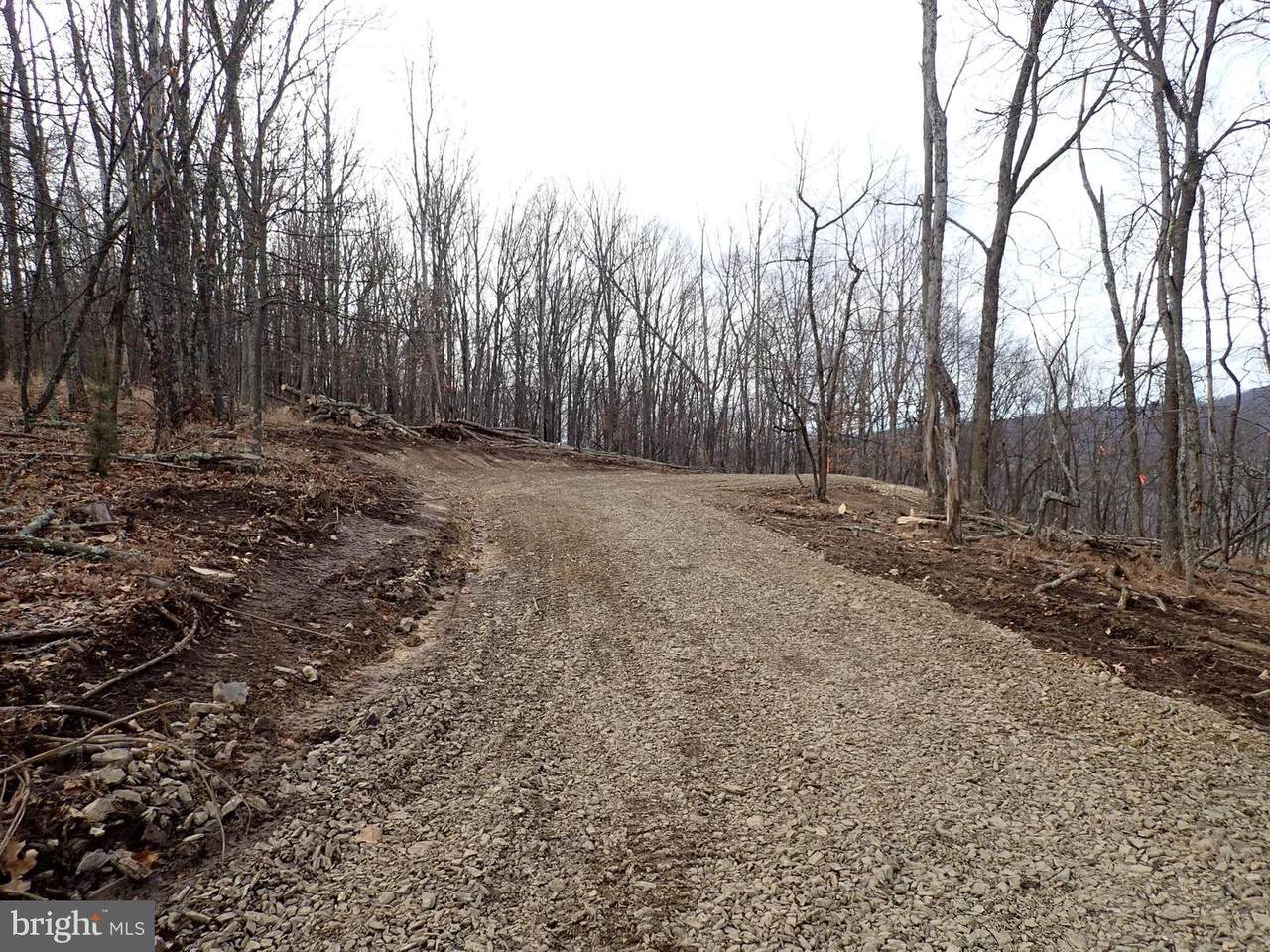 201 Hampshire Ridge - Photo 1