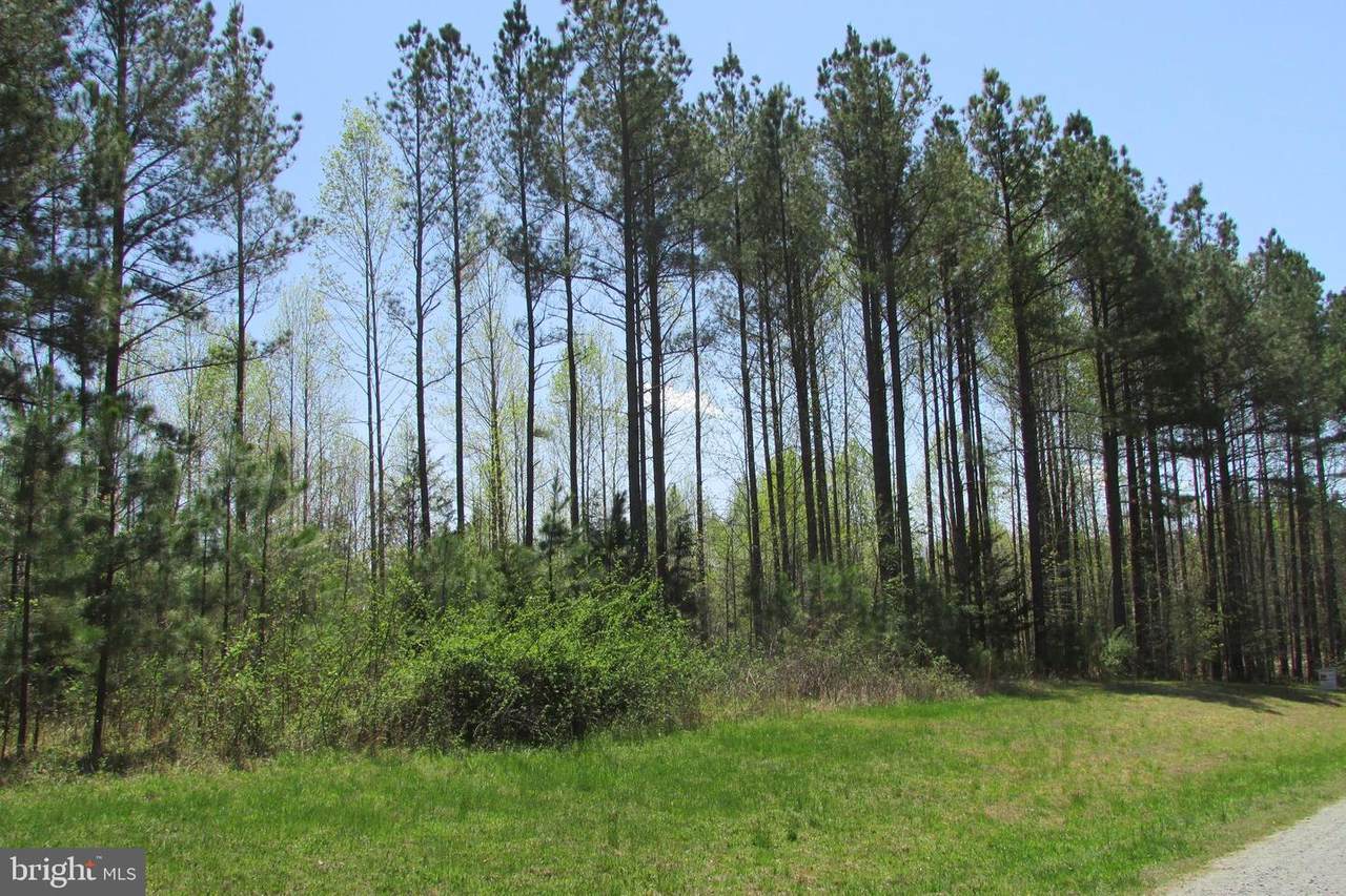 0 Governors Point Lane - Photo 1