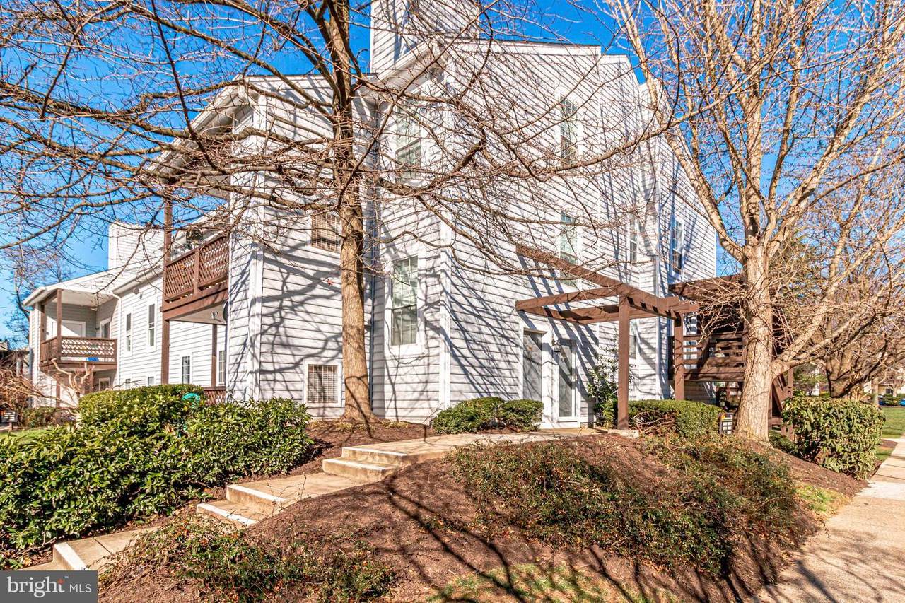10009 Oakton Terrace Road - Photo 1