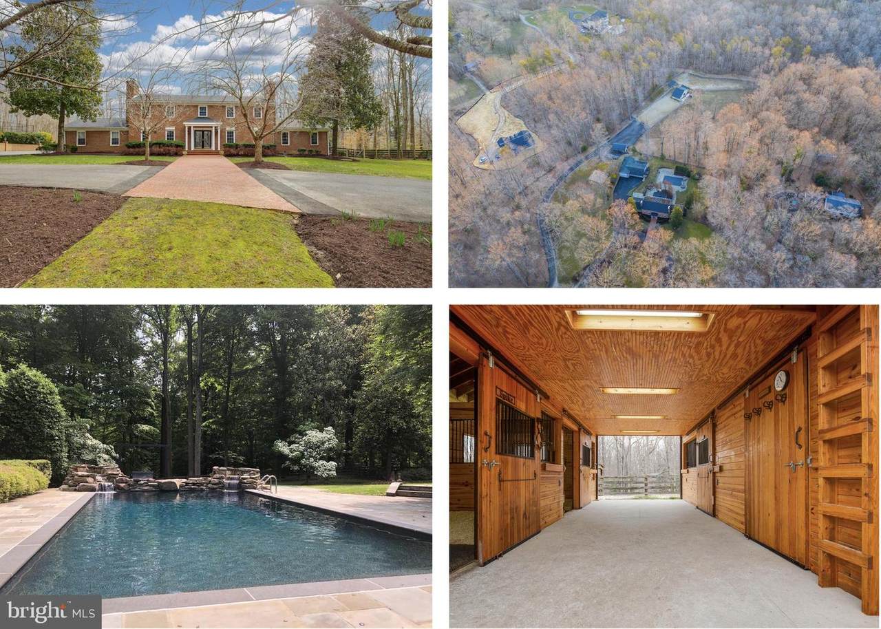8511 Cathedral Forest Drive - Photo 1 8511 Cathedral Forest Drive - Photo 1