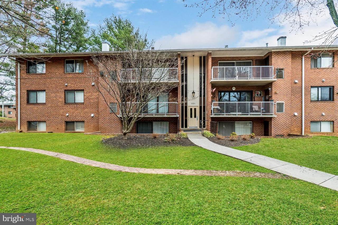 101 Fitz Court - Photo 1