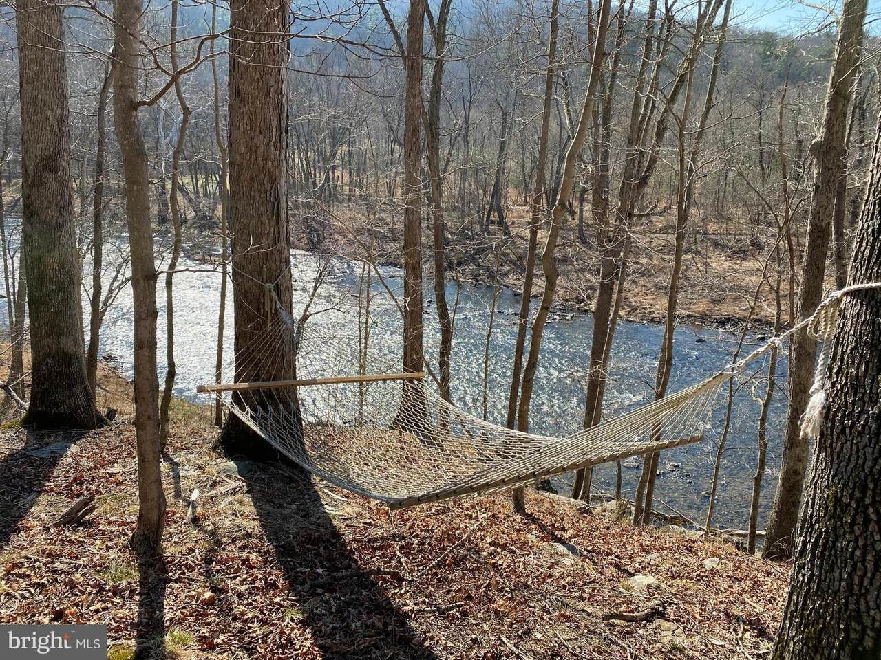 Tonoloway Point Circle - Photo 1