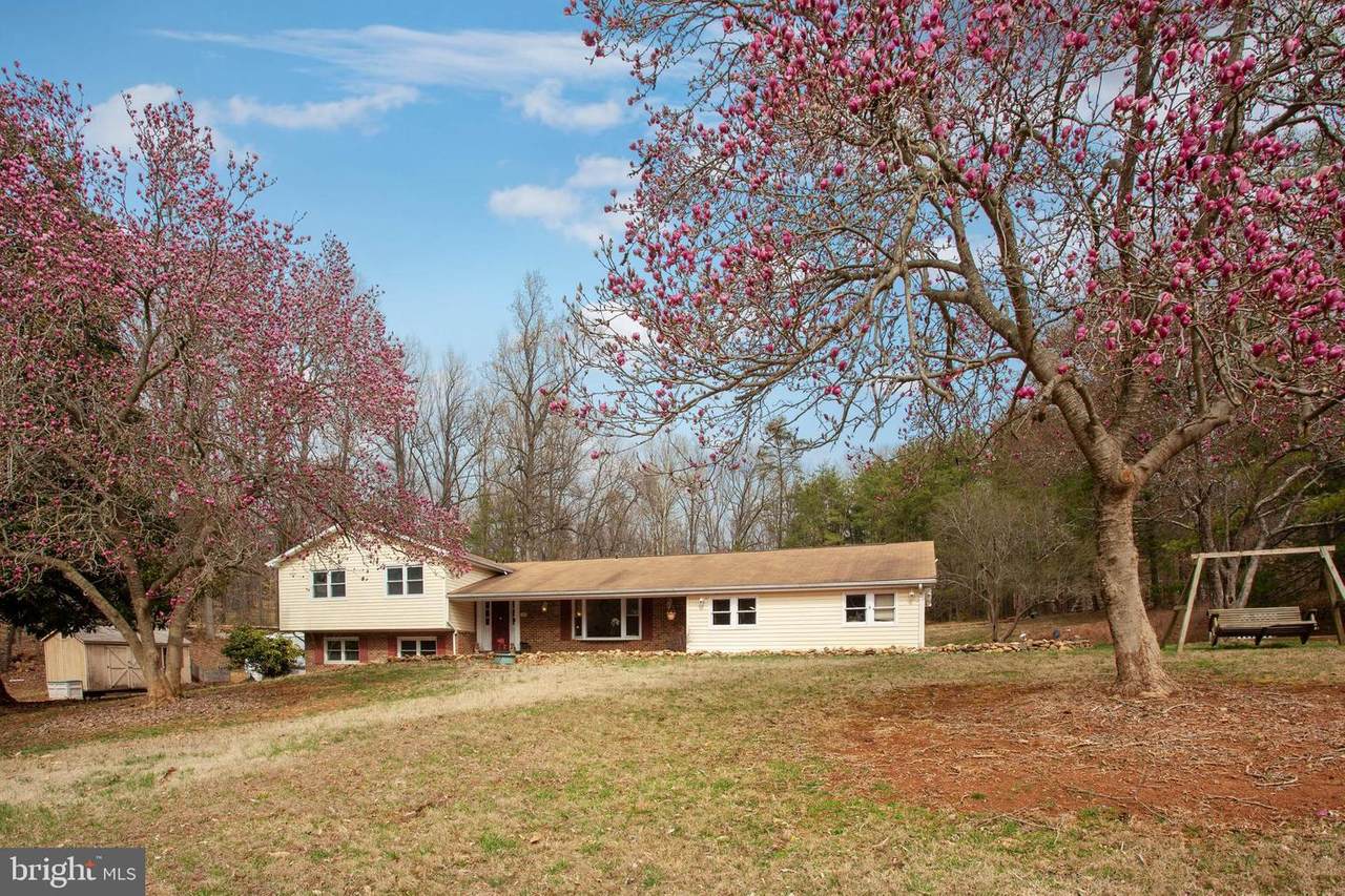 16410 Jackson Hollow Road - Photo 1