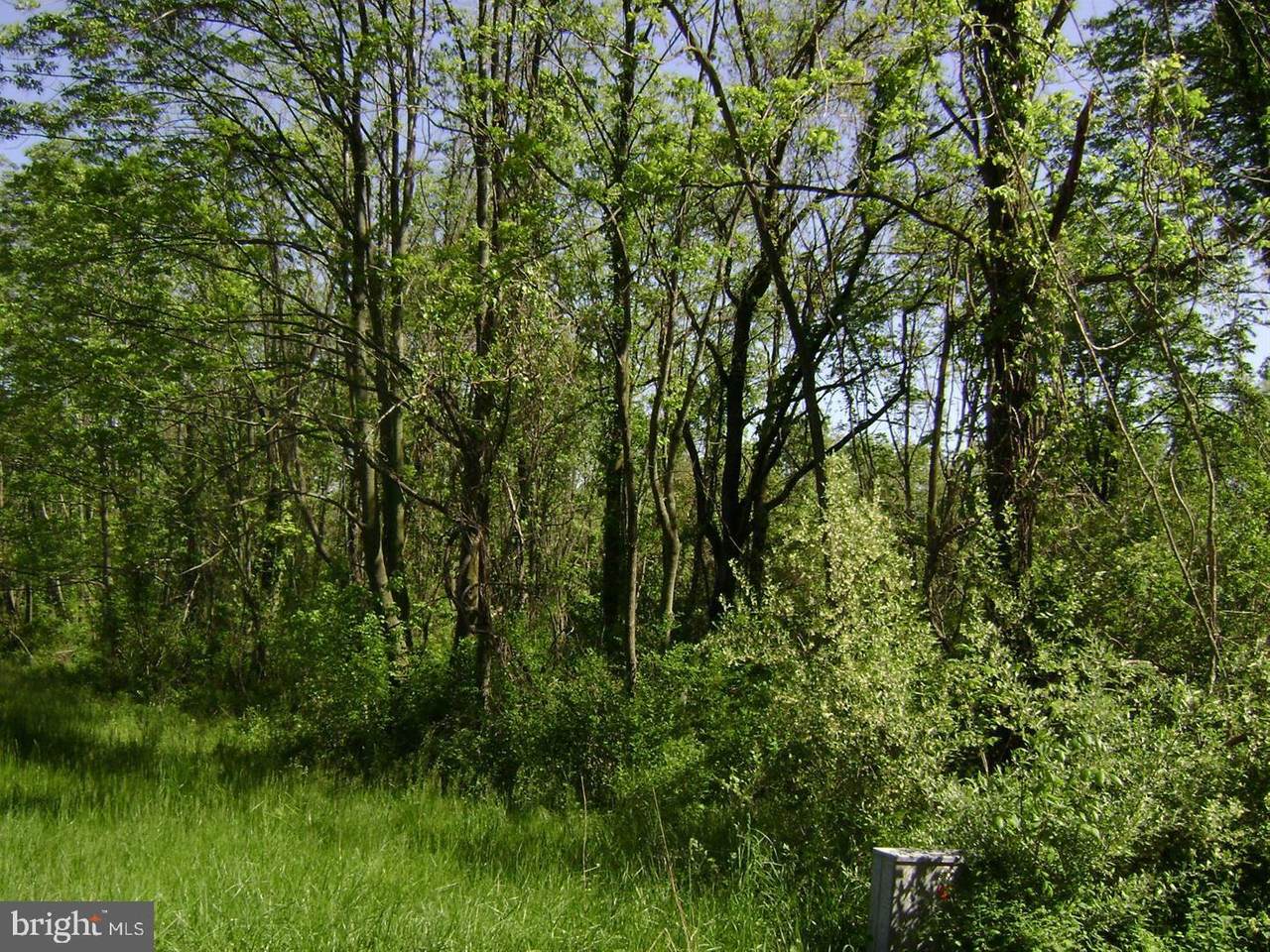 0 Hilltop Ln N - Photo 1