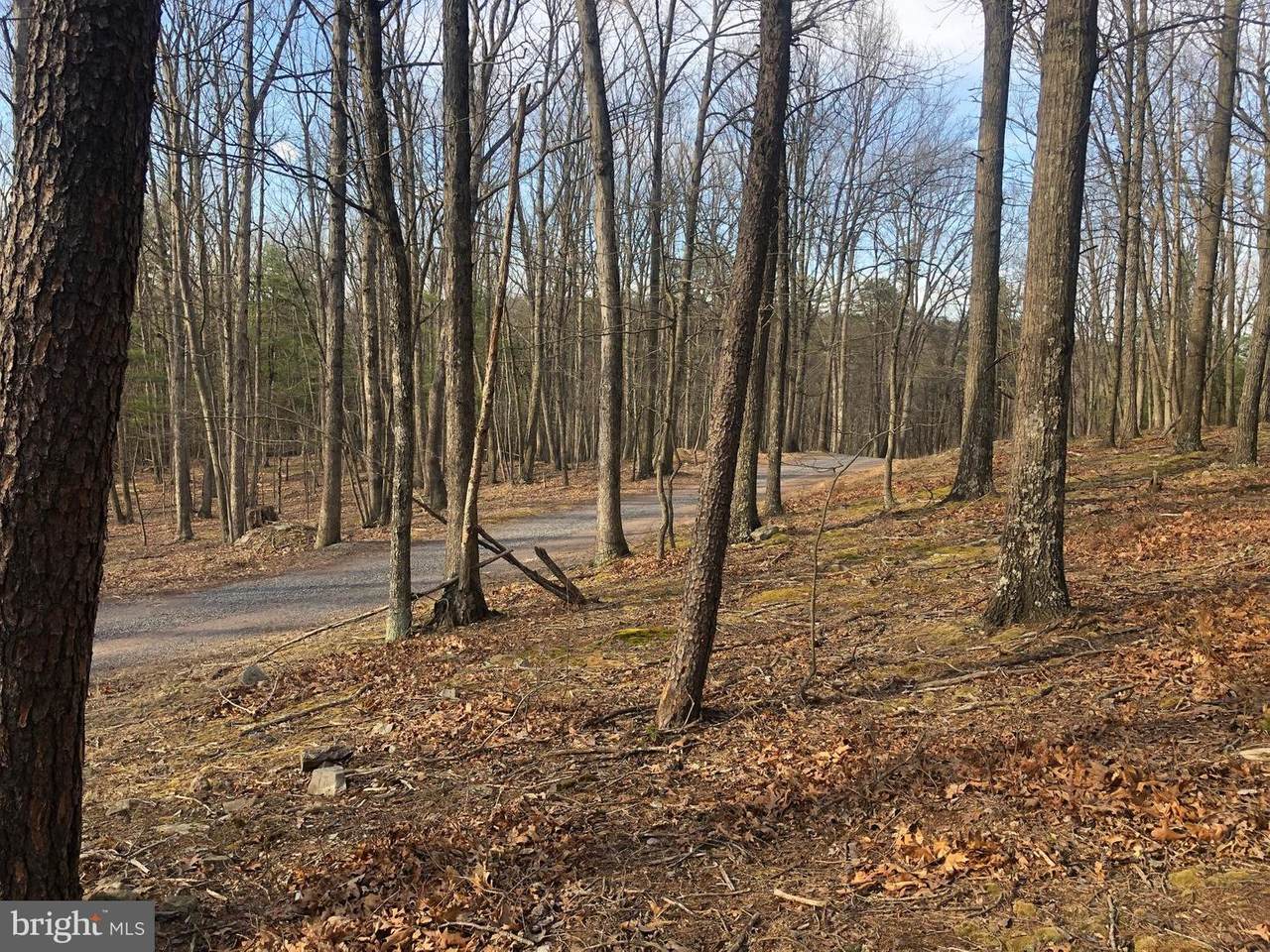 Little Cacapon Mountain - Photo 1