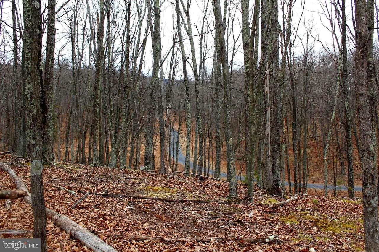 LOT 4 Helmick Rock-Trout Pass Road - Photo 1