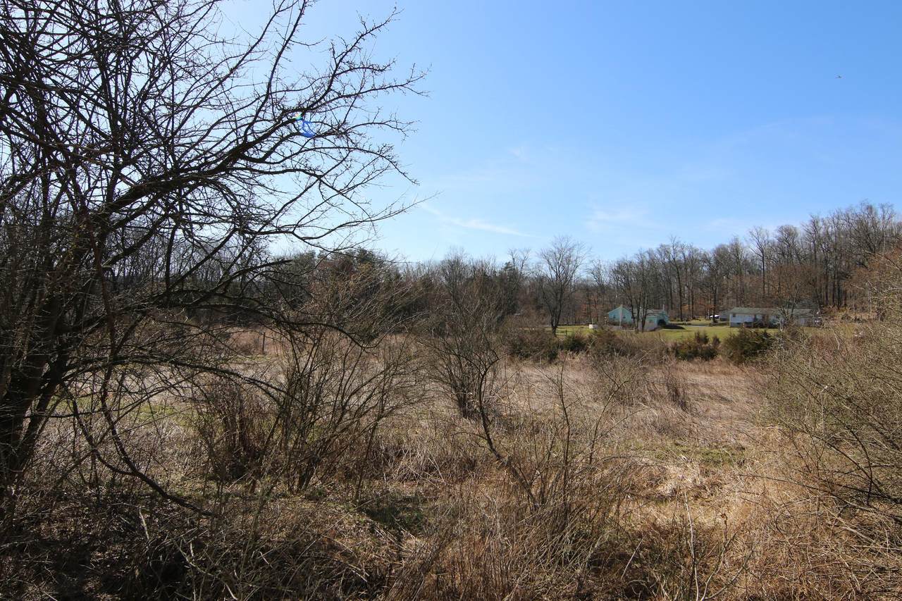 825 Locust Grove Road - Photo 1