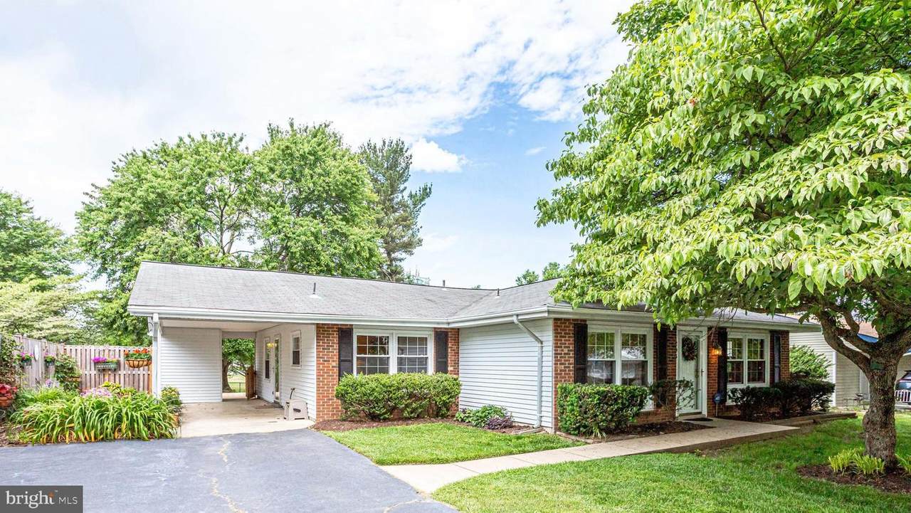 203 Harrison Road - Photo 1