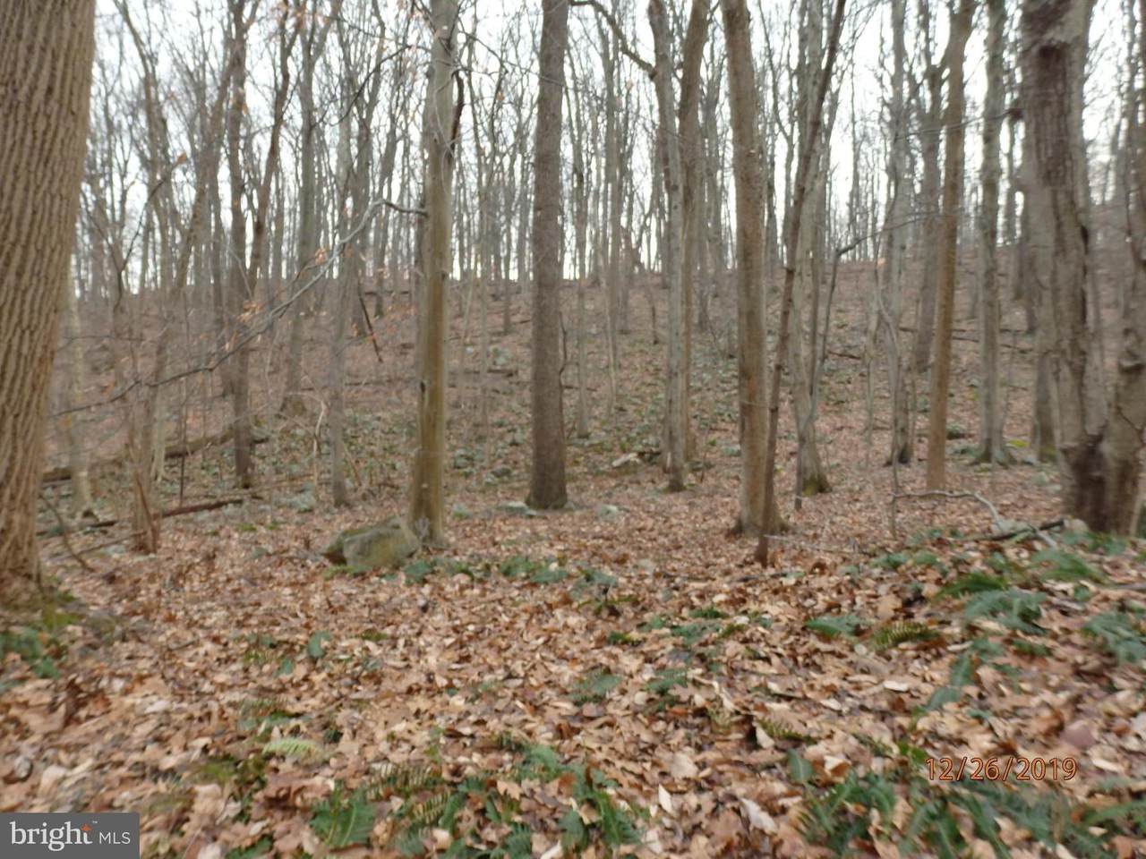 0 Dogwood Lane - Photo 1