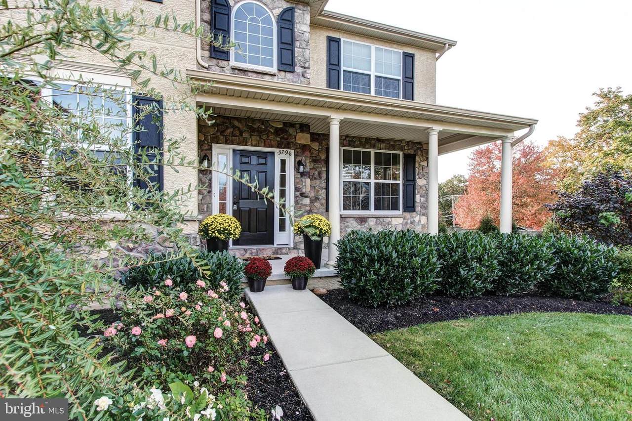 3796 Stellas Way - Photo 1