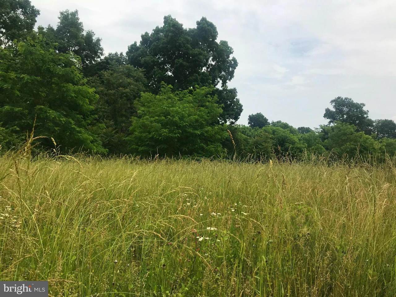 TBD Palmyra Church Road - Photo 1