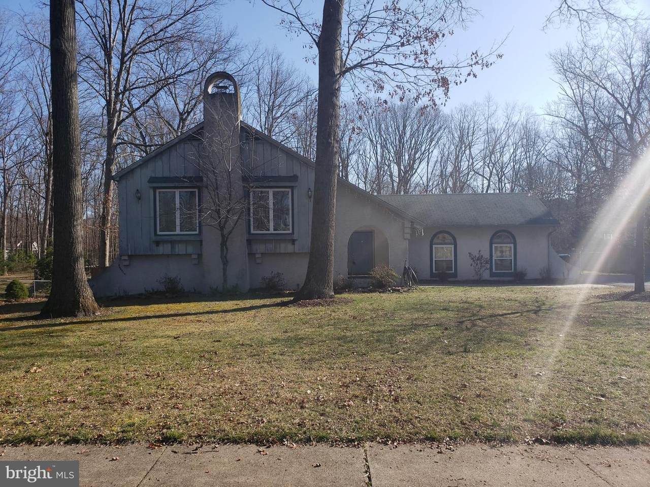 25 Alberts Avenue - Photo 1