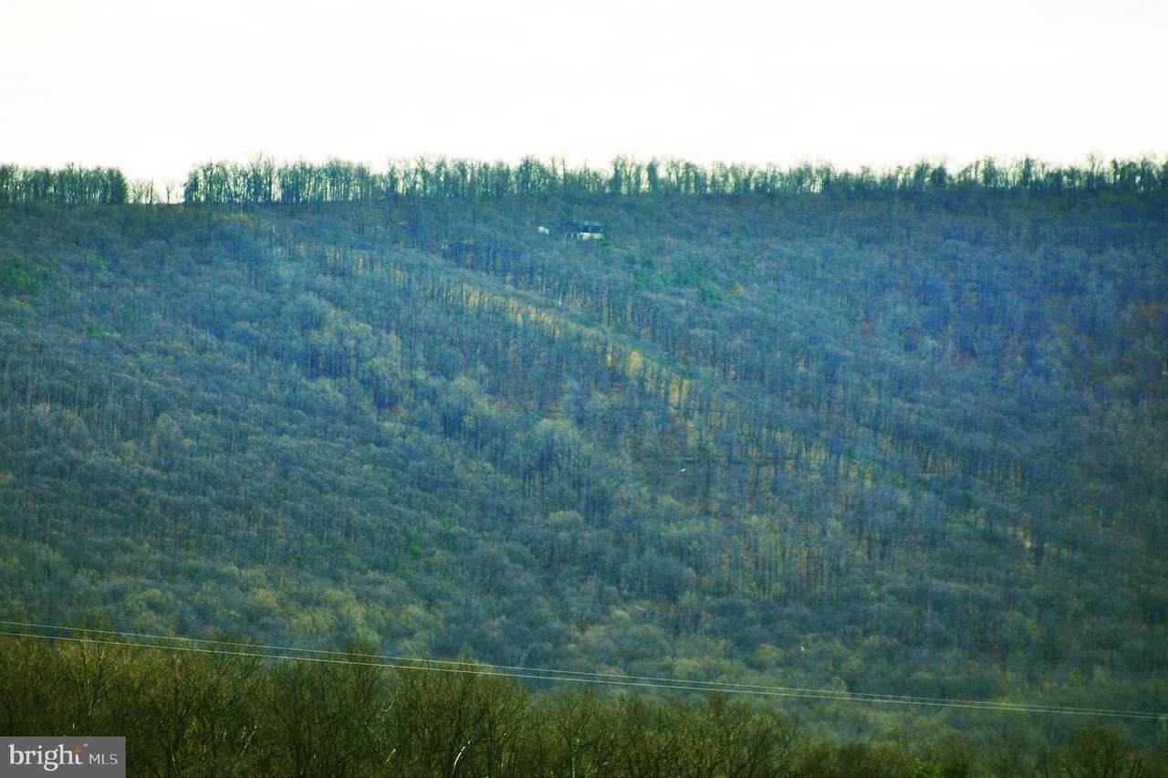 L-92 Bobcat Trail - Photo 1