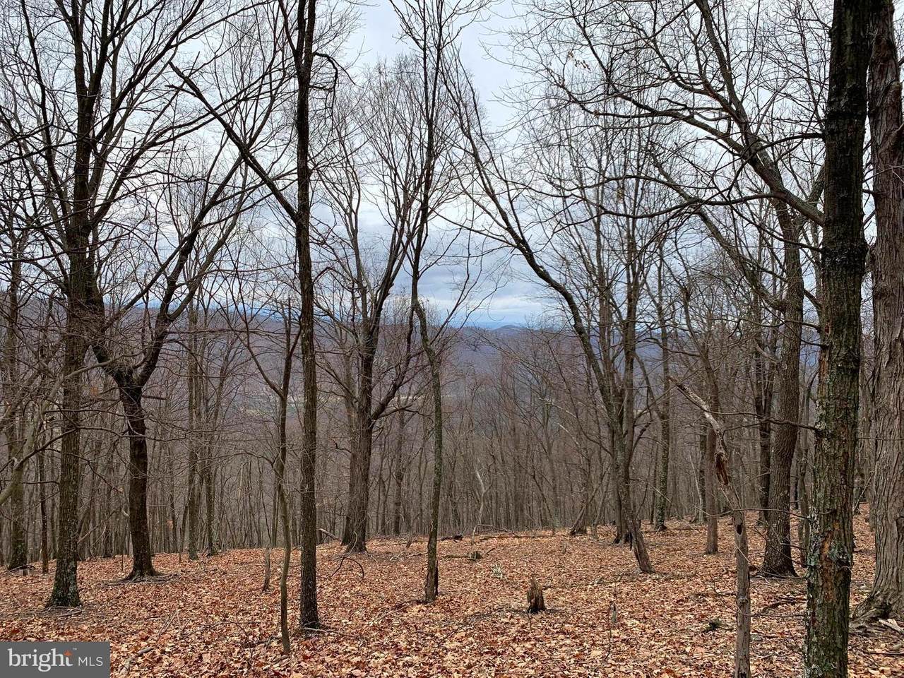 Hampshire Ridge - Photo 1
