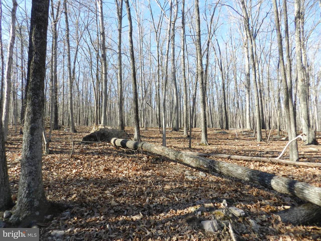 Wardensville Grade - Photo 1