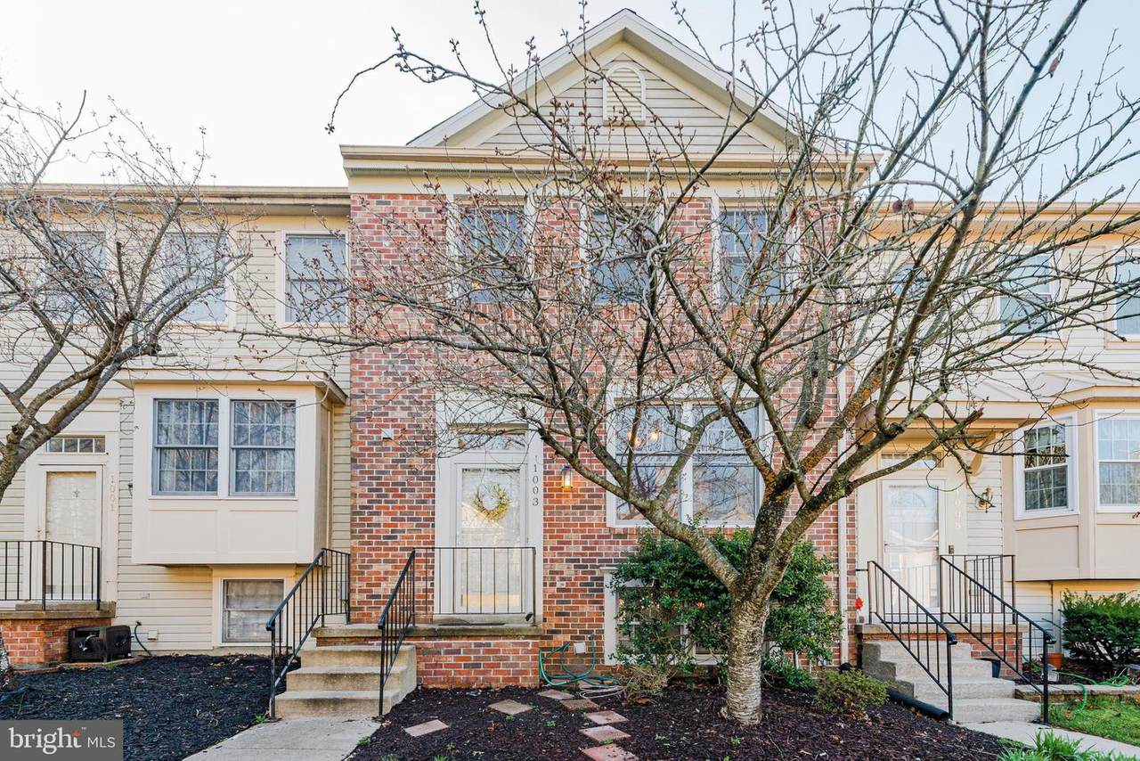1003 Chestnut Haven Court - Photo 1