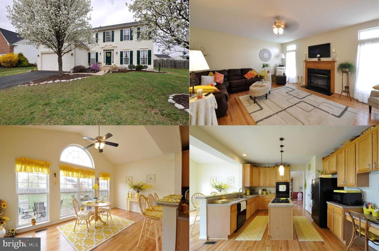 11168 Ashlee Brook Drive - Photo 1 11168 Ashlee Brook Drive - Photo 1
