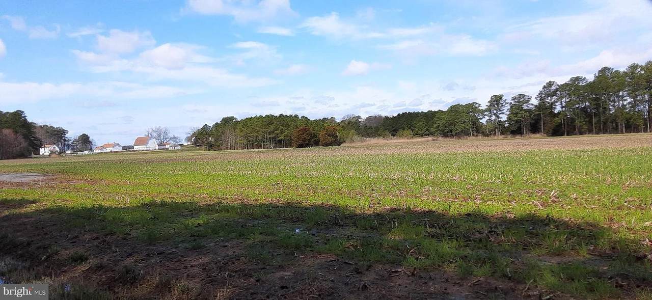 0 Revells Neck Road - Photo 1