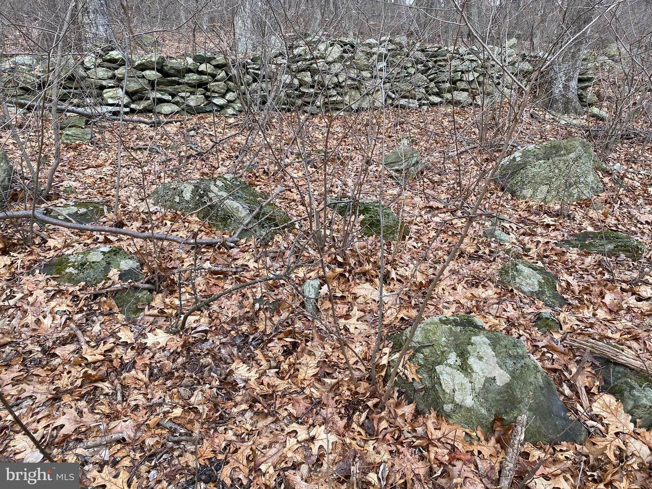 3712 Garfield Road - Photo 1
