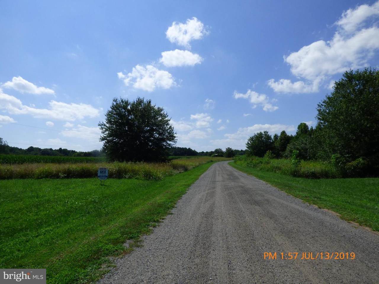 Lots 50 & 51 Prospect Hill Road - Photo 1