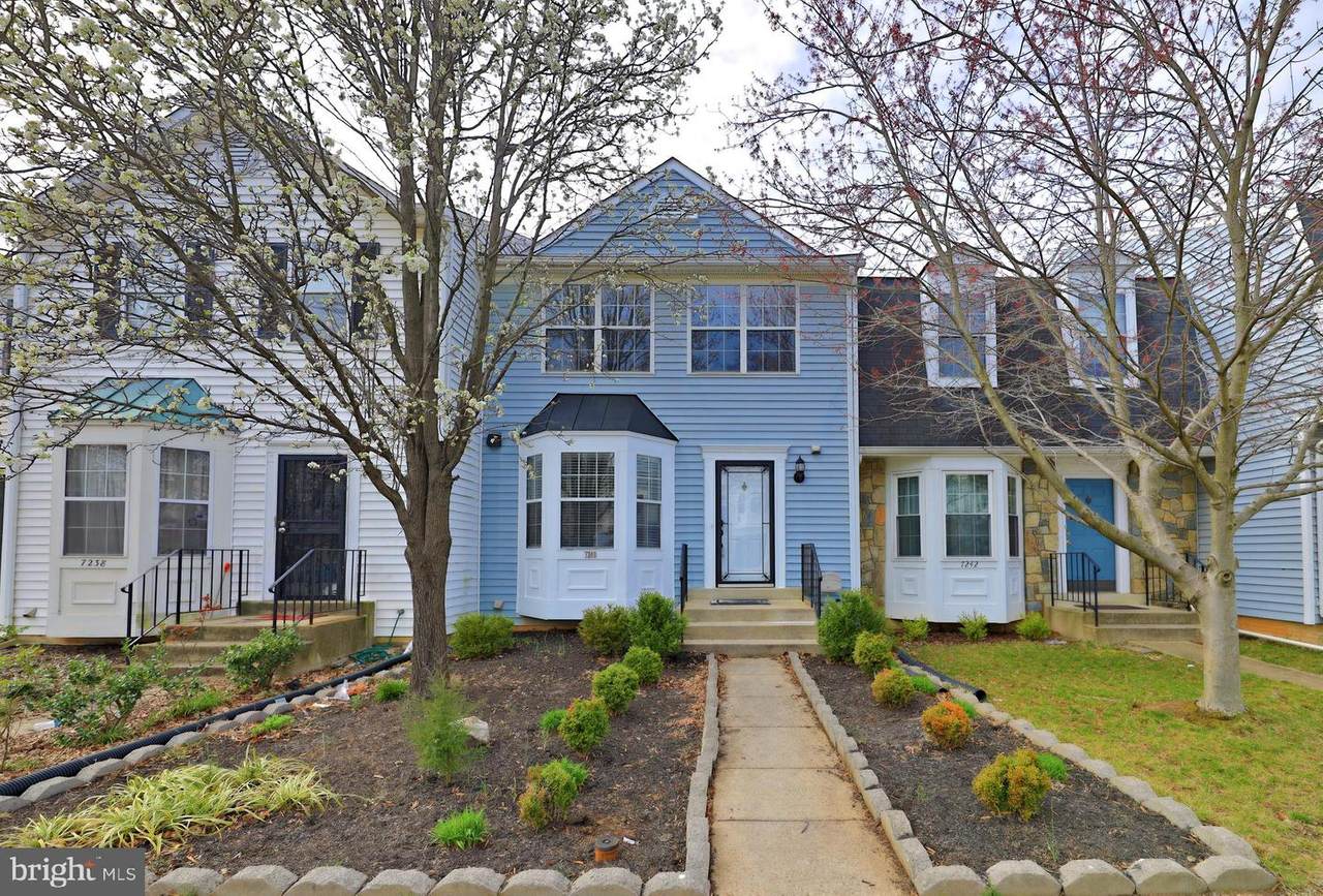 7240 Ora Court - Photo 1