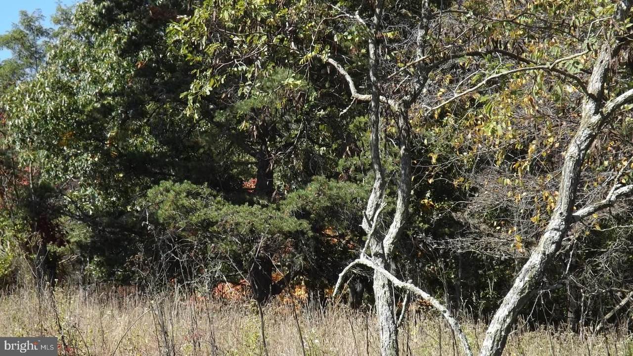 14 Canyon Trail - Photo 1