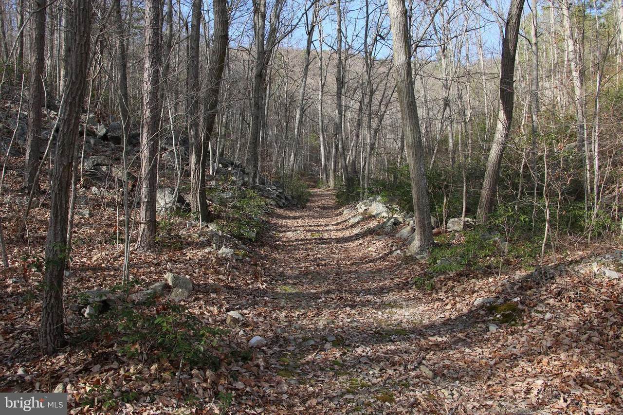 Naked Creek Road - Photo 1 Naked Creek Road - Photo 1