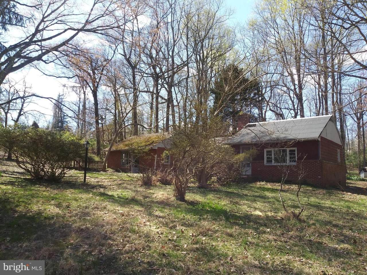 11616 Pine Tree Drive - Photo 1