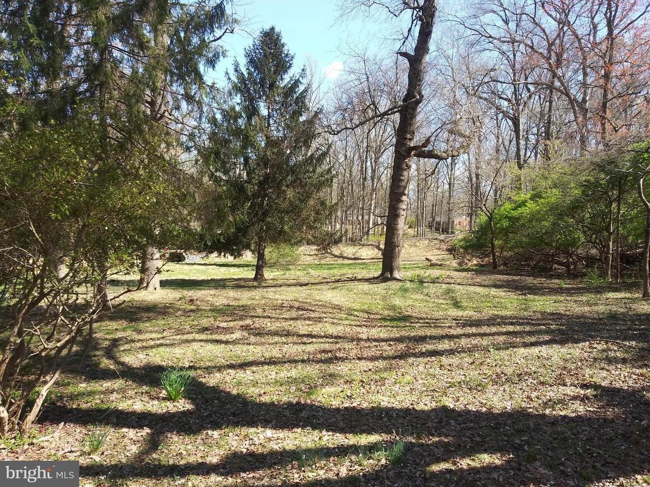 11616 Pine Tree Drive - Photo 1 11616 Pine Tree Drive - Photo 1