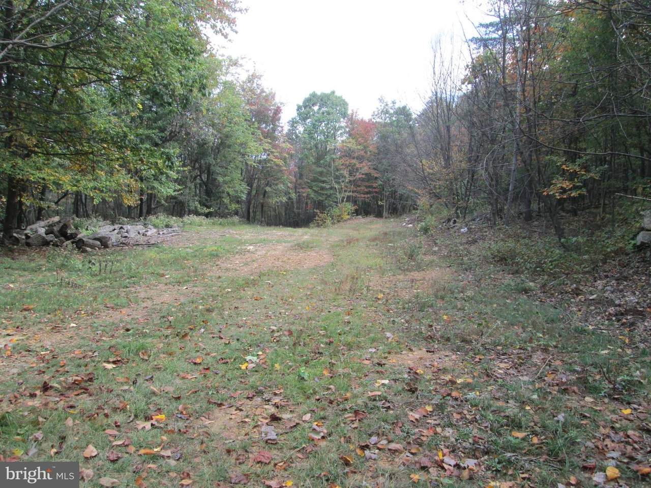 2 Bark Road - Photo 1