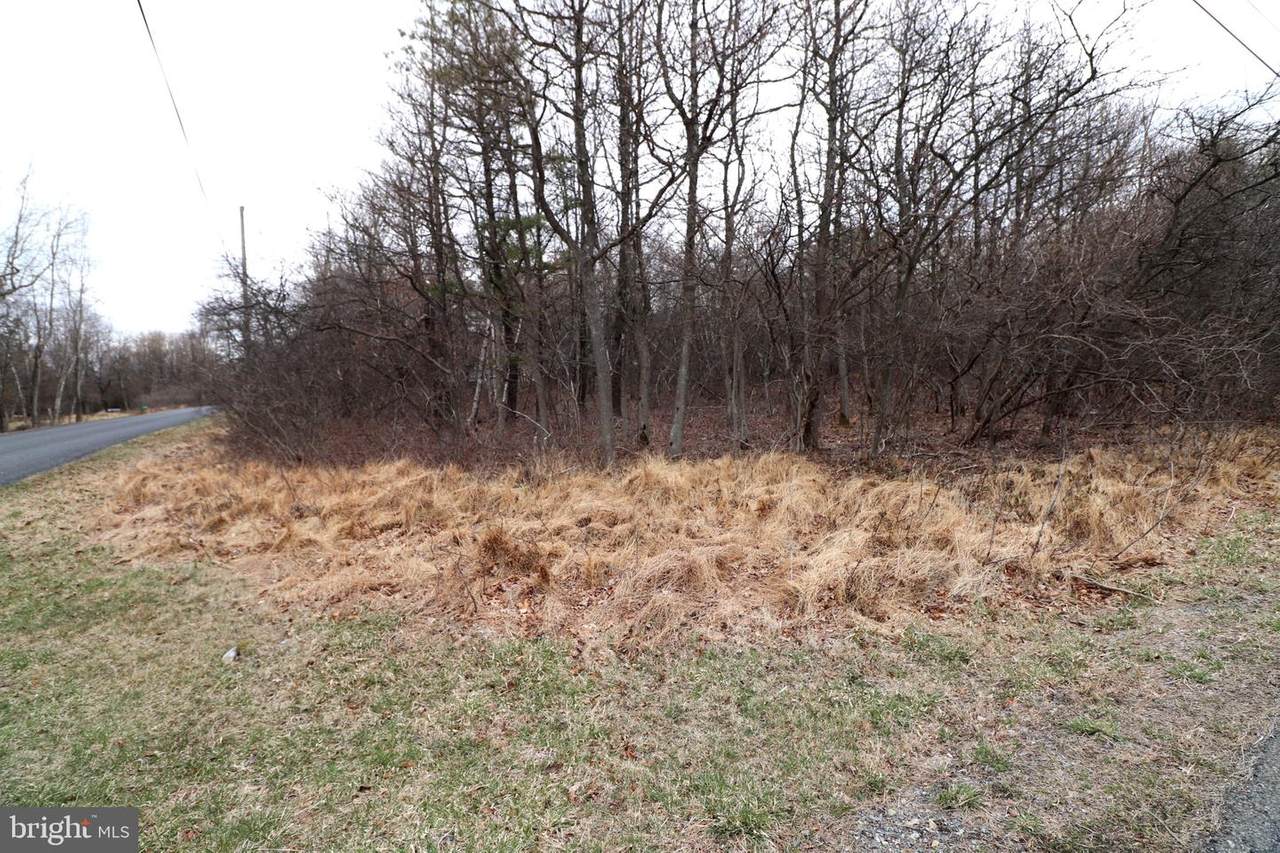 0 Maccauley Road & Berryman Lane - Photo 1