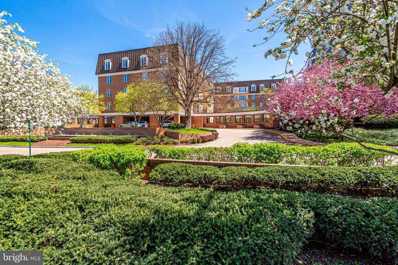 8101 Connecticut Avenue - Photo 1