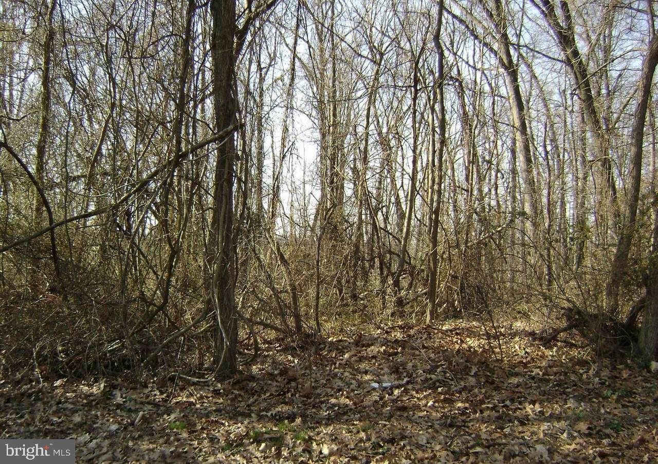 Parcel 626 Chinquapin Trail - Photo 1