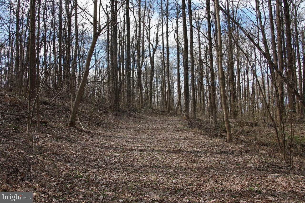 Forest Drive - Photo 1