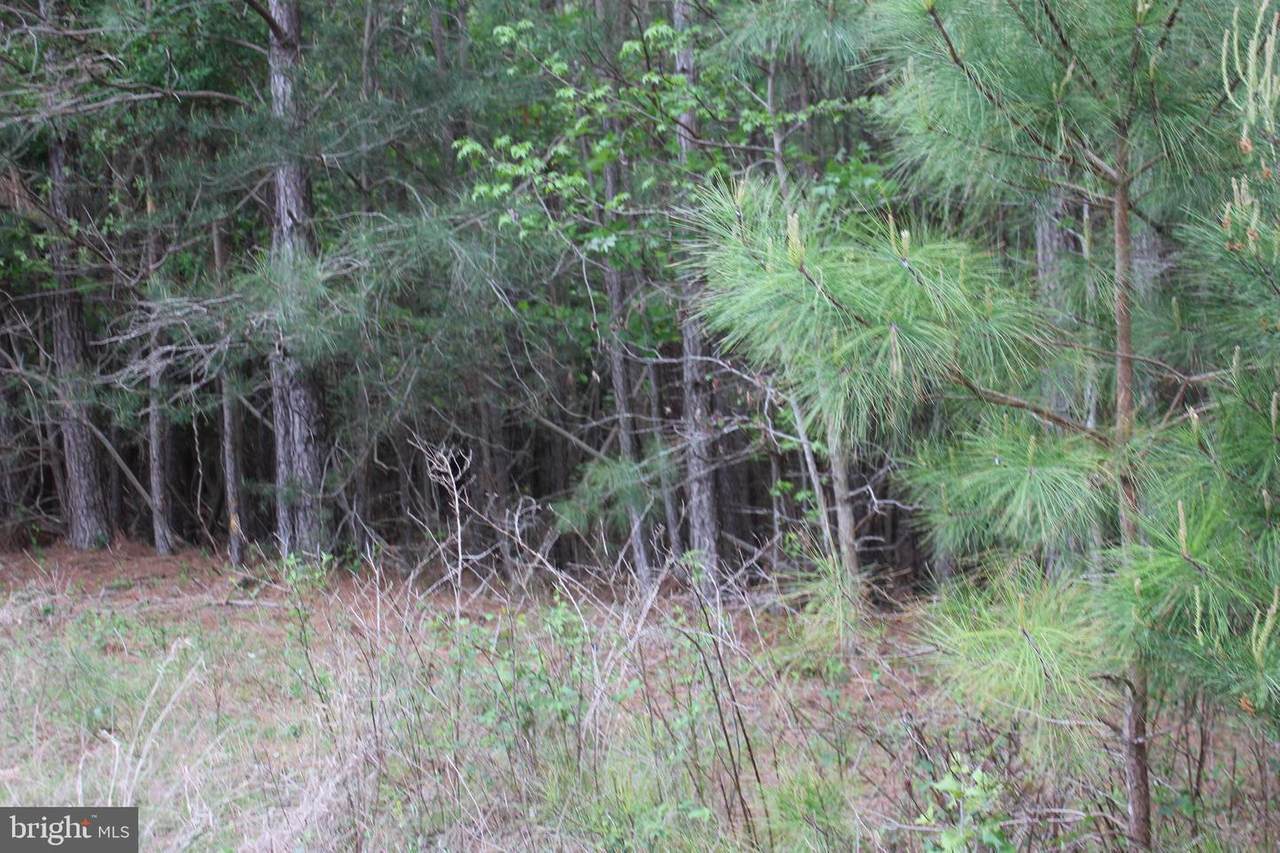 19465 Greens Rest Drive - Photo 1